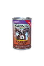 6" Canned Bighorn Sheep